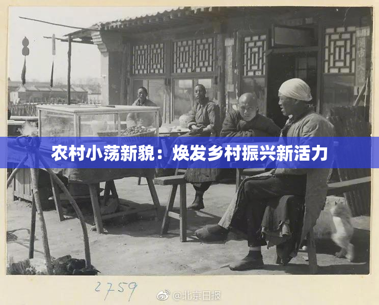 农村小荡新貌：焕发乡村振兴新活力