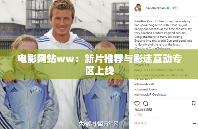 电影网站ww：新片推荐与影迷互动专区上线