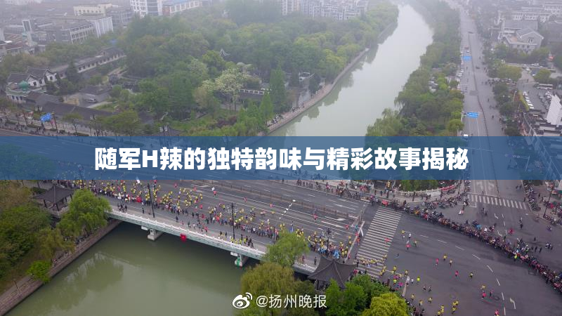 随军H辣的独特韵味与精彩故事揭秘