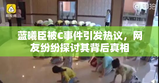 蓝曦臣被C事件引发热议，网友纷纷探讨其背后真相