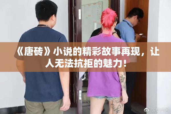 《唐砖》小说的精彩故事再现，让人无法抗拒的魅力！