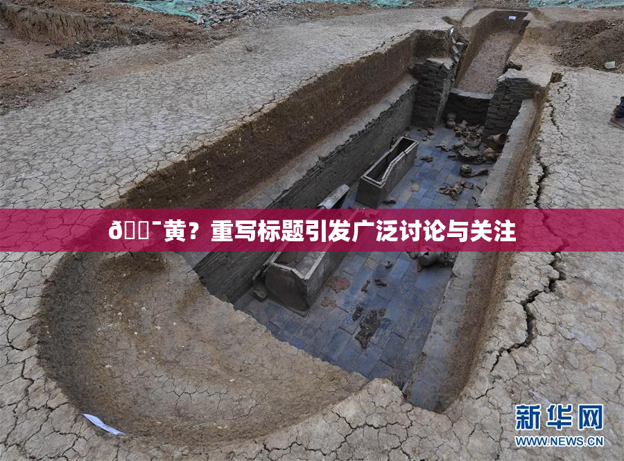 🔯黄？重写标题引发广泛讨论与关注