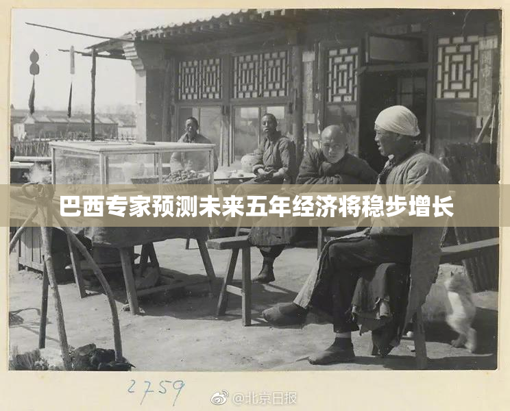 巴西专家预测未来五年经济将稳步增长