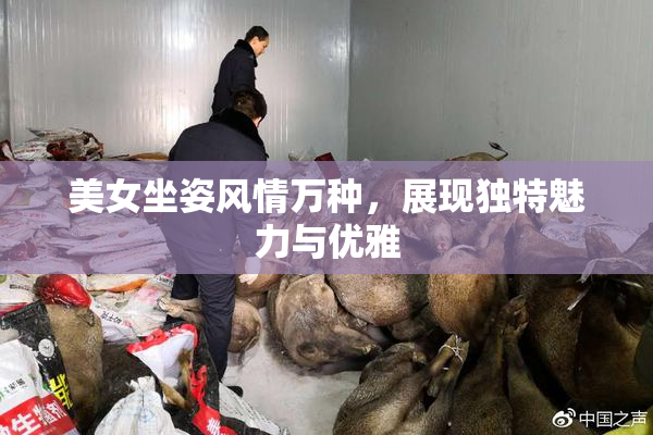 美女坐姿风情万种，展现独特魅力与优雅