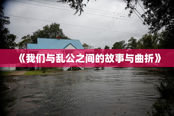 《我们与乱公之间的故事与曲折》