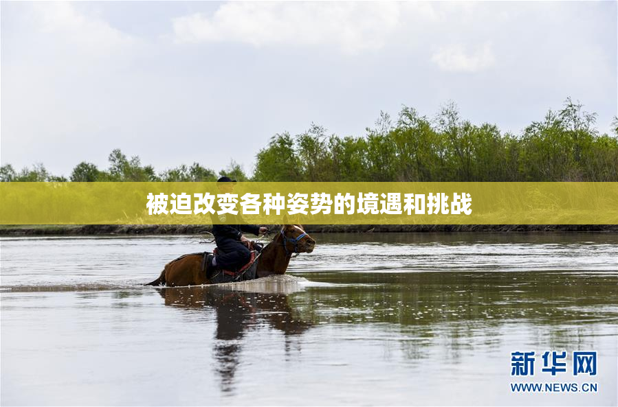 被迫改变各种姿势的境遇和挑战
