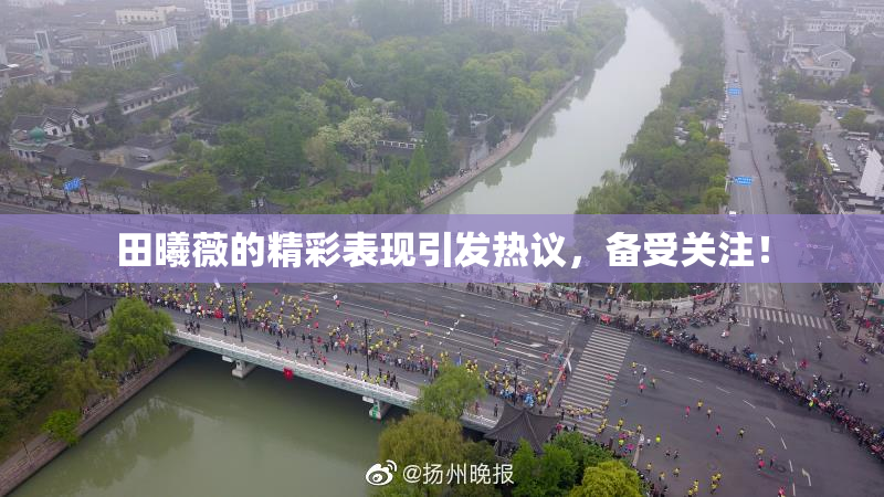 田曦薇的精彩表现引发热议，备受关注！