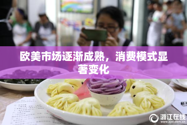 欧美市场逐渐成熟，消费模式显著变化