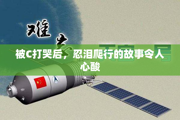被C打哭后，忍泪爬行的故事令人心酸