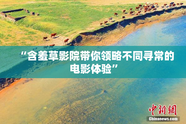 “含羞草影院带你领略不同寻常的电影体验”