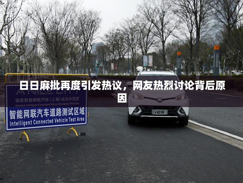 日日麻批再度引发热议，网友热烈讨论背后原因