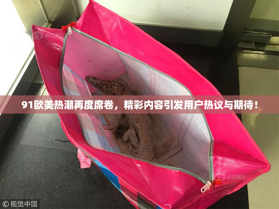 91欧美热潮再度席卷，精彩内容引发用户热议与期待！