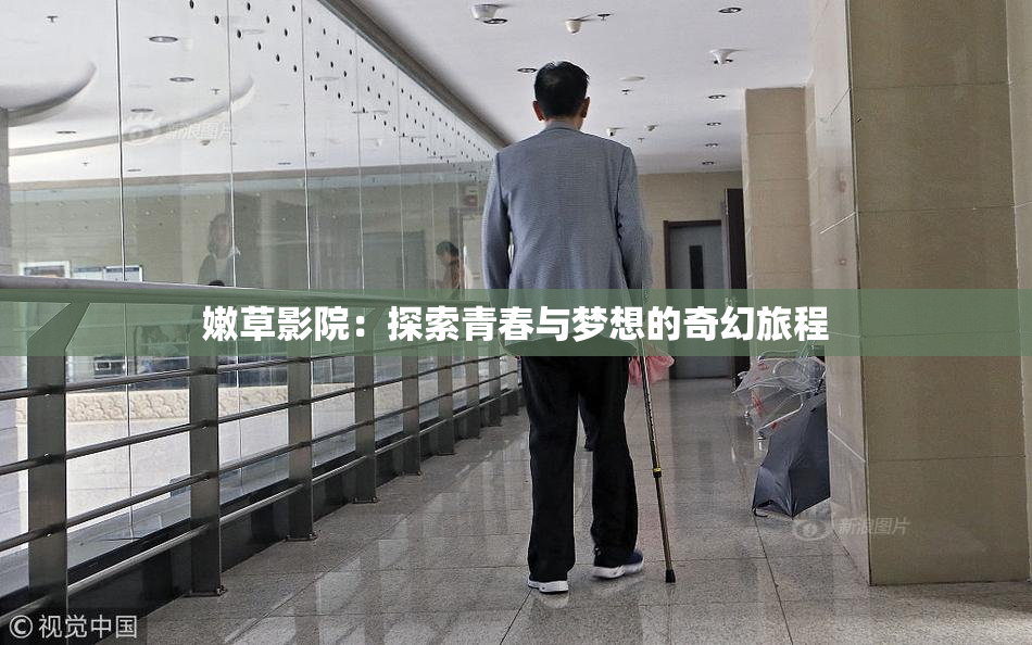 嫩草影院：探索青春与梦想的奇幻旅程