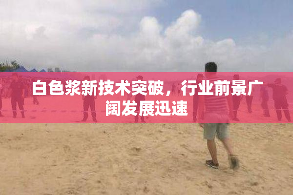 白色浆新技术突破，行业前景广阔发展迅速