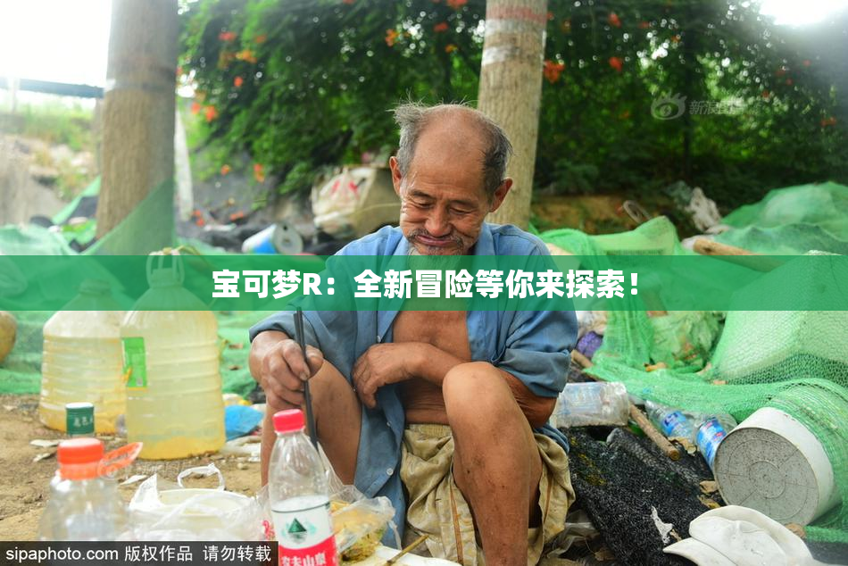 宝可梦R：全新冒险等你来探索！