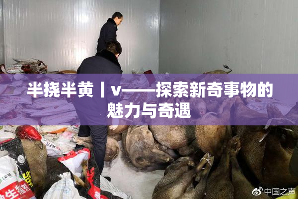 半挠半黄丨v——探索新奇事物的魅力与奇遇