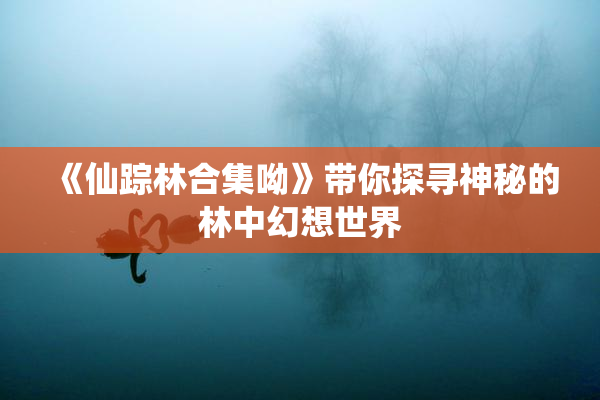 《仙踪林合集呦》带你探寻神秘的林中幻想世界
