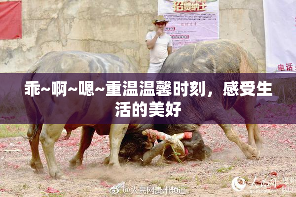 乖~啊~嗯~重温温馨时刻，感受生活的美好
