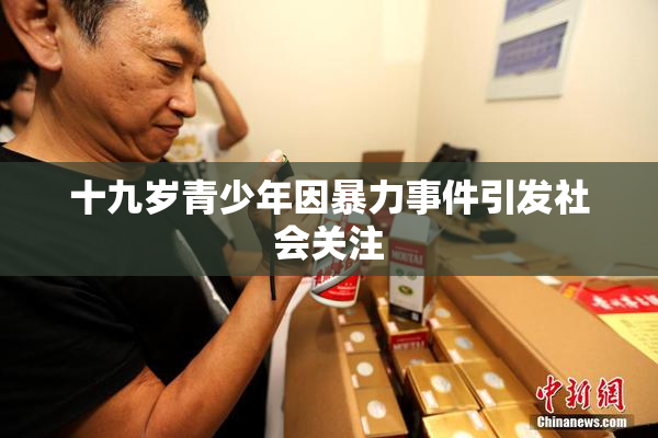 十九岁青少年因暴力事件引发社会关注