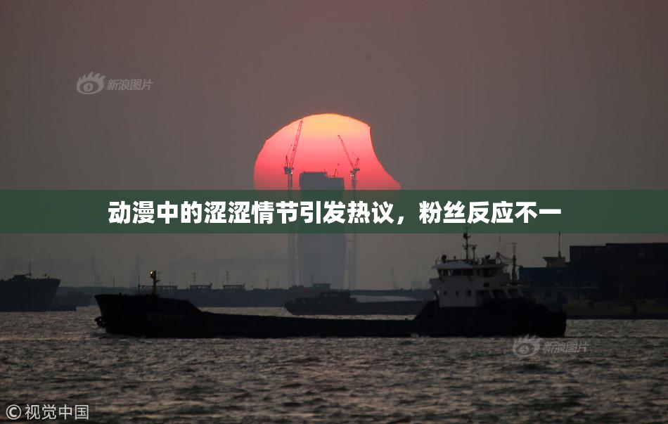 动漫中的涩涩情节引发热议，粉丝反应不一