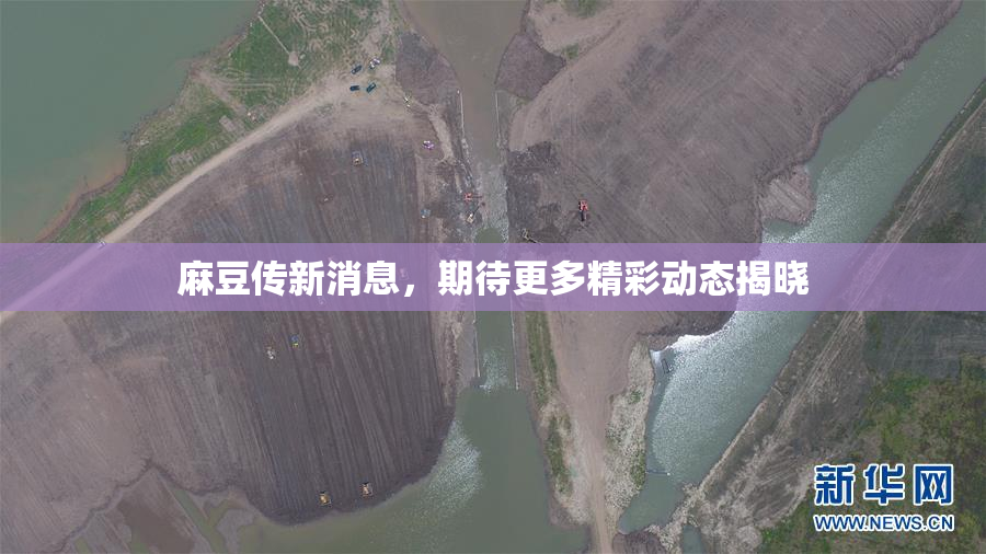 麻豆传新消息，期待更多精彩动态揭晓