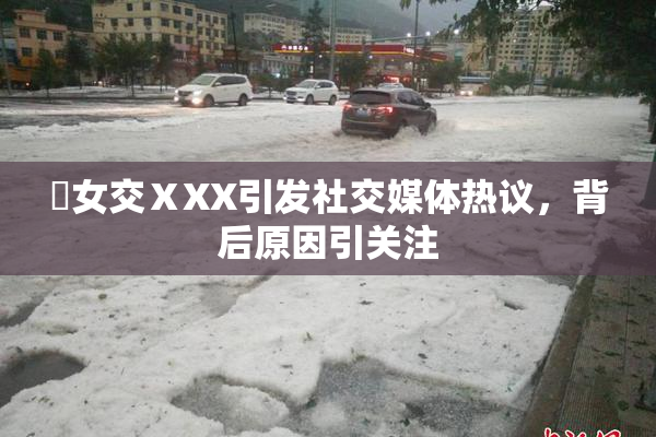 乣女交ⅩXX引发社交媒体热议，背后原因引关注