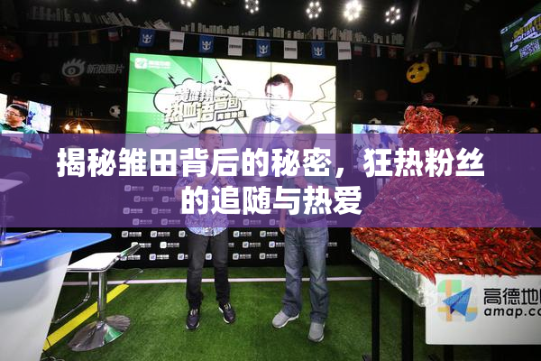 揭秘雏田背后的秘密，狂热粉丝的追随与热爱