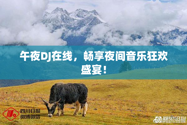 午夜DJ在线，畅享夜间音乐狂欢盛宴！