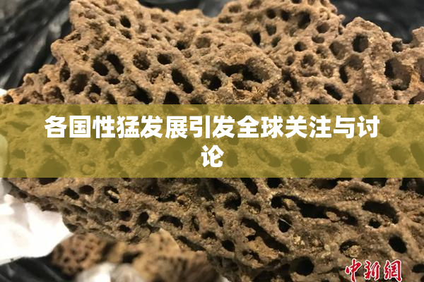 各国性猛发展引发全球关注与讨论