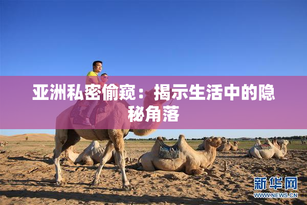 亚洲私密偷窥：揭示生活中的隐秘角落
