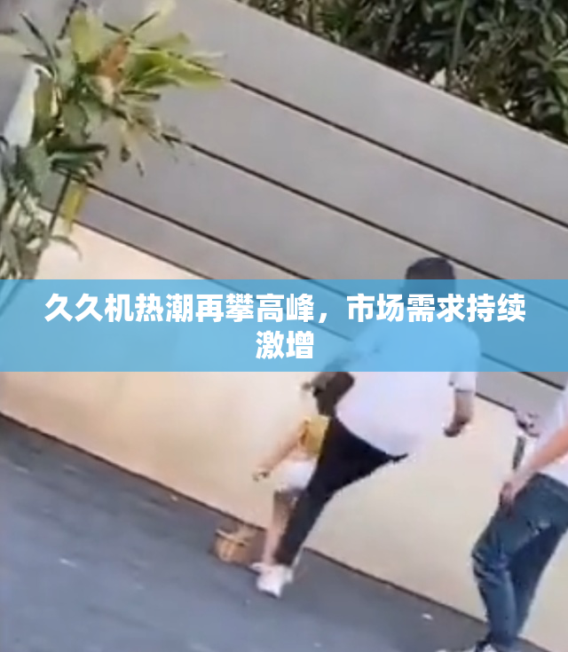 久久机热潮再攀高峰，市场需求持续激增