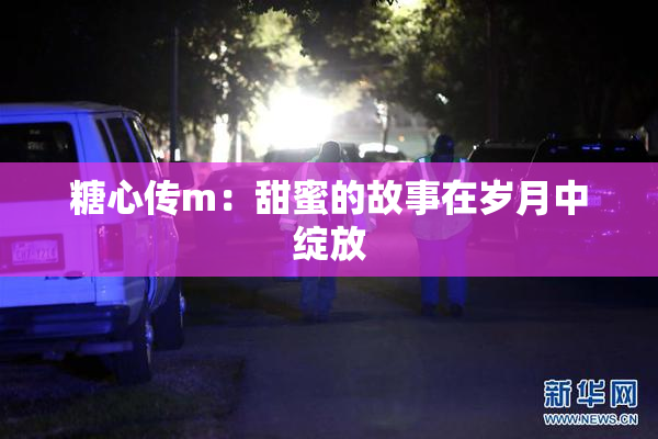 糖心传m：甜蜜的故事在岁月中绽放