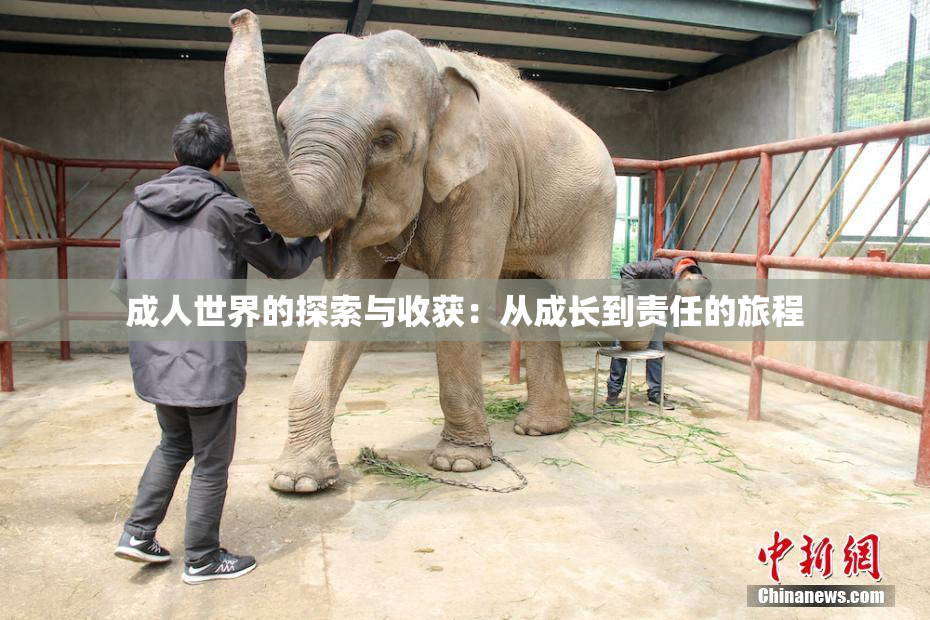 成人世界的探索与收获：从成长到责任的旅程