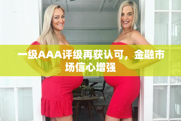 一级AAA评级再获认可，金融市场信心增强