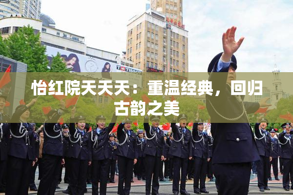 怡红院天天天：重温经典，回归古韵之美