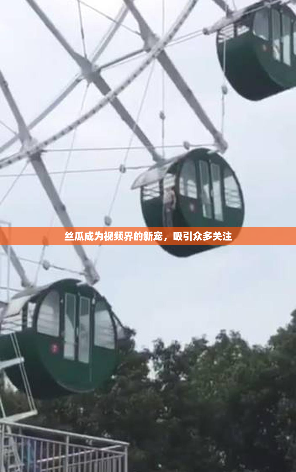 丝瓜成为视频界的新宠，吸引众多关注