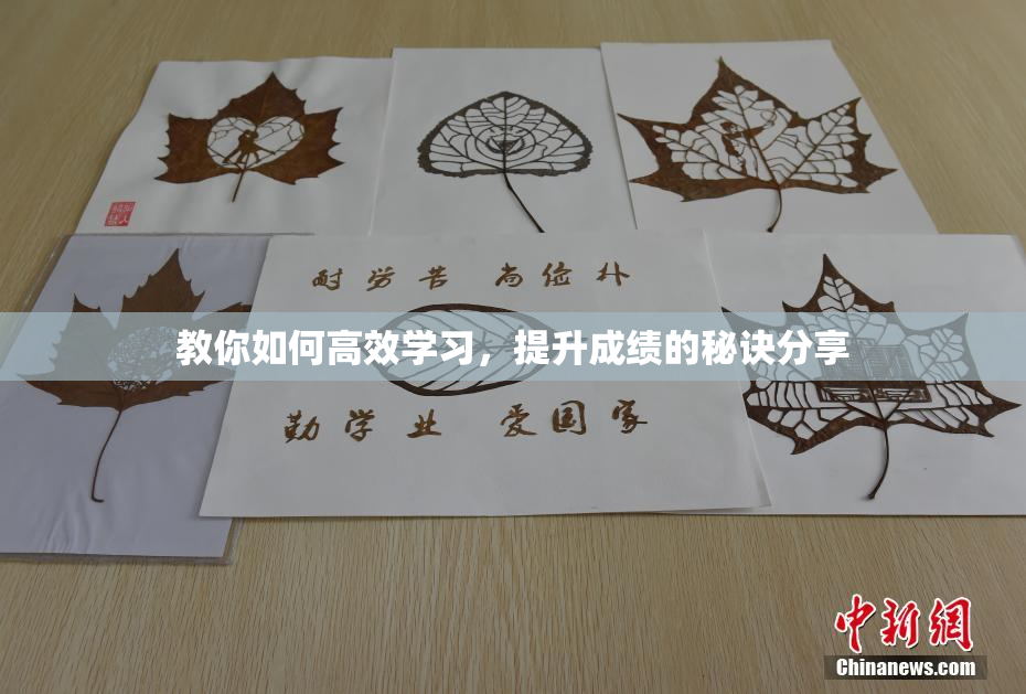 教你如何高效学习，提升成绩的秘诀分享