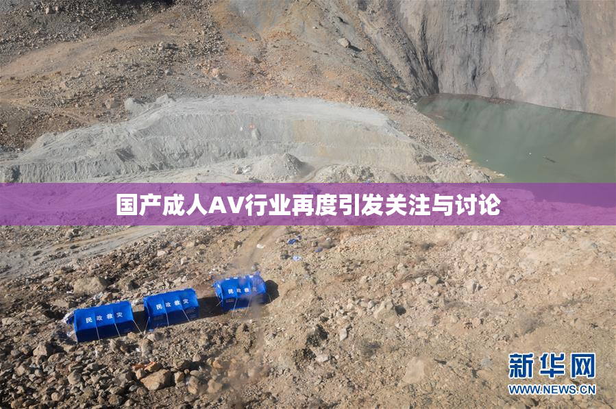 国产成人AV行业再度引发关注与讨论