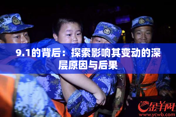 9.1的背后：探索影响其变动的深层原因与后果