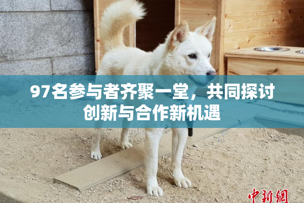 97名参与者齐聚一堂，共同探讨创新与合作新机遇