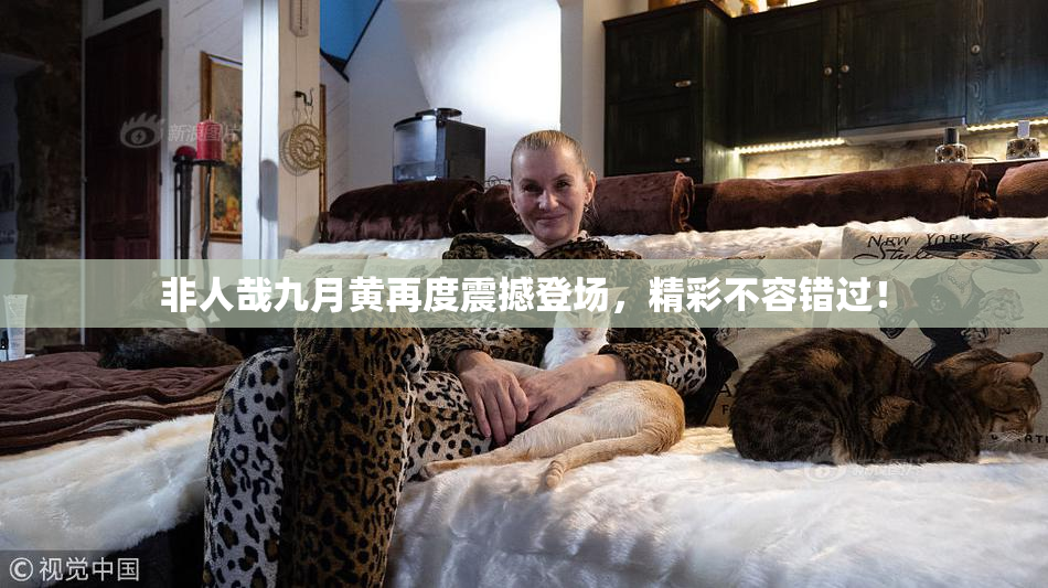 非人哉九月黄再度震撼登场，精彩不容错过！