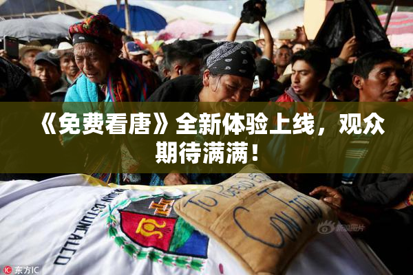 《免费看唐》全新体验上线，观众期待满满！