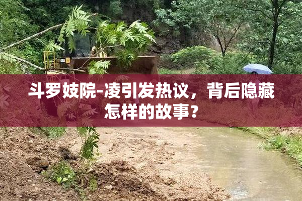 斗罗妓院-凌引发热议，背后隐藏怎样的故事？