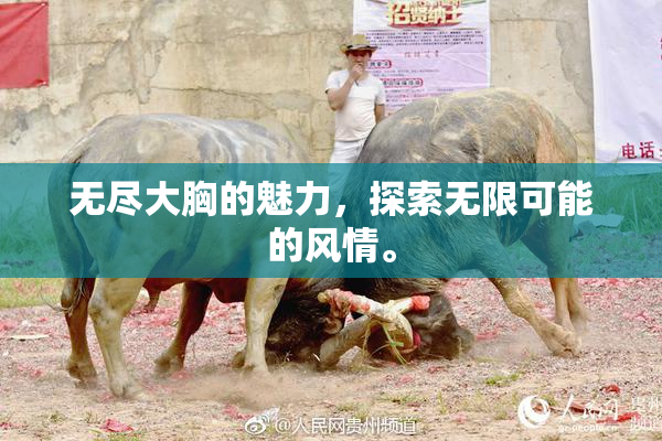 无尽大胸的魅力，探索无限可能的风情。