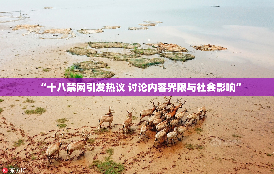“十八禁网引发热议 讨论内容界限与社会影响”