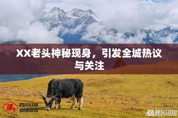 XX老头神秘现身，引发全城热议与关注