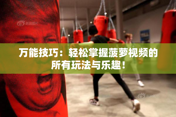 万能技巧：轻松掌握菠萝视频的所有玩法与乐趣！