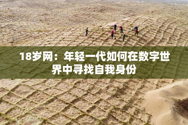 18岁网：年轻一代如何在数字世界中寻找自我身份
