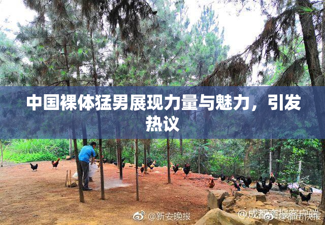 中国裸体猛男展现力量与魅力，引发热议