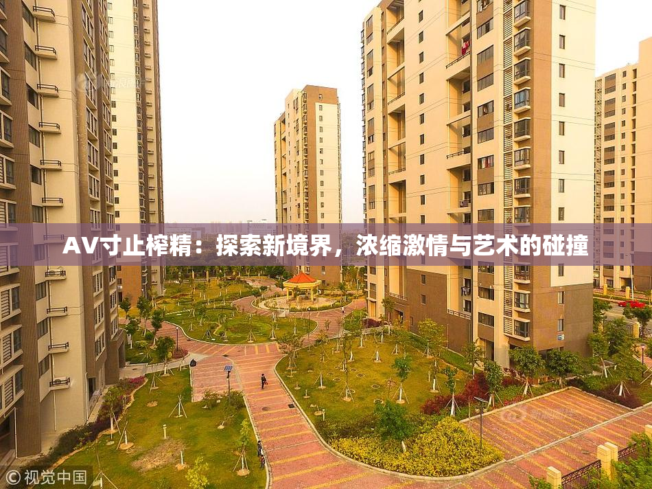 AV寸止榨精：探索新境界，浓缩激情与艺术的碰撞